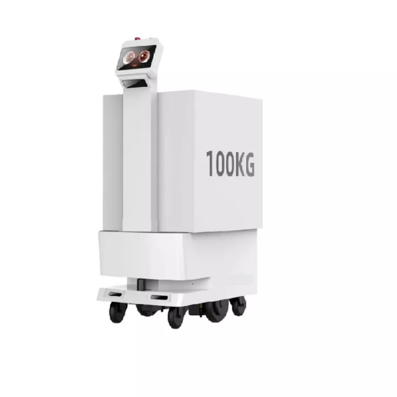Next-Gen L4 Delivery Robots များသည် “နောက်ဆုံးမီတာ 100” စိန်ခေါ်မှုကို နောက်ဆုံးဖြေရှင်းနိုင်ပါသလား။